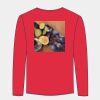 Softstyle™ long sleeve t-shirt Thumbnail